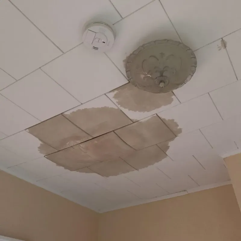 Ceiling Water Damage Repair in Clearbrook Park, NJ